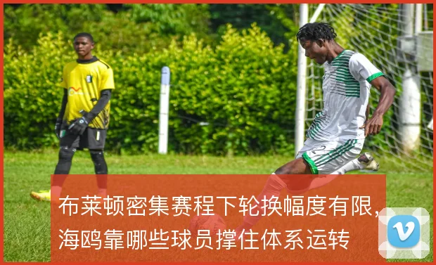布莱顿密集赛程下轮换幅度有限,海鸥靠哪些球员撑住体系运转