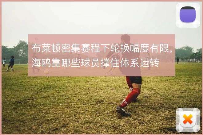 布莱顿密集赛程下轮换幅度有限,海鸥靠哪些球员撑住体系运转